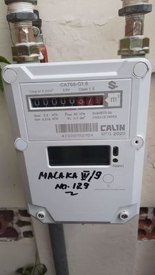 Het Gasmeter van STS AMR Diaphragm Aluminum Keypad Prepaid